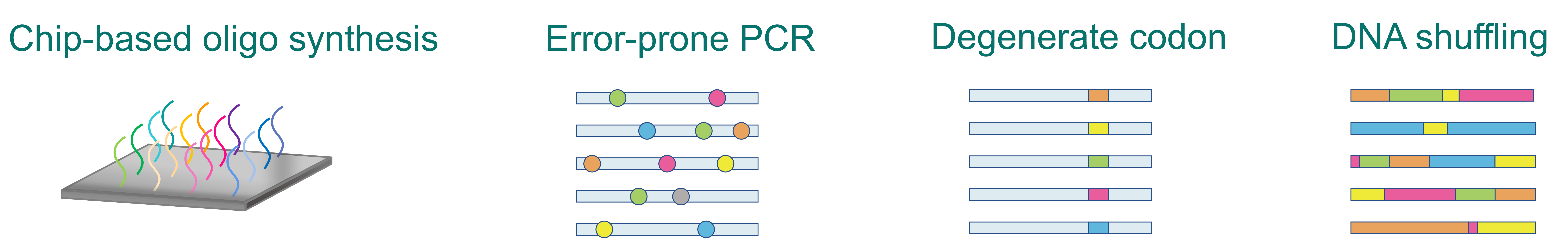 Mutation library construction strategies