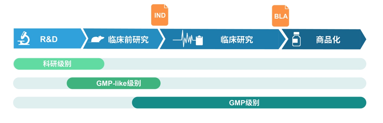 GMP-like viral vectors for preclinical studies and GMP-grade plasmid for clinical and commercial use.