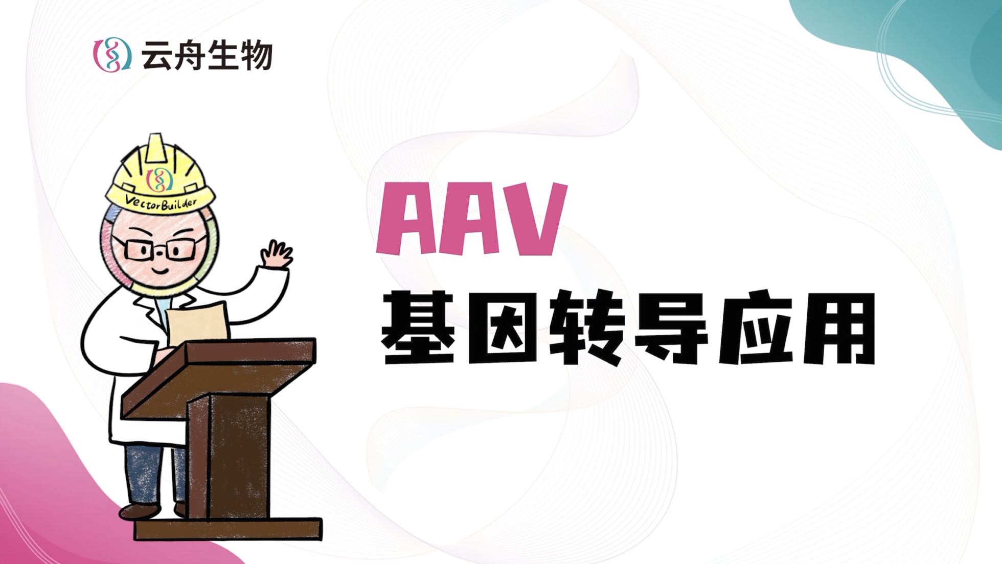 AAV轉導應用