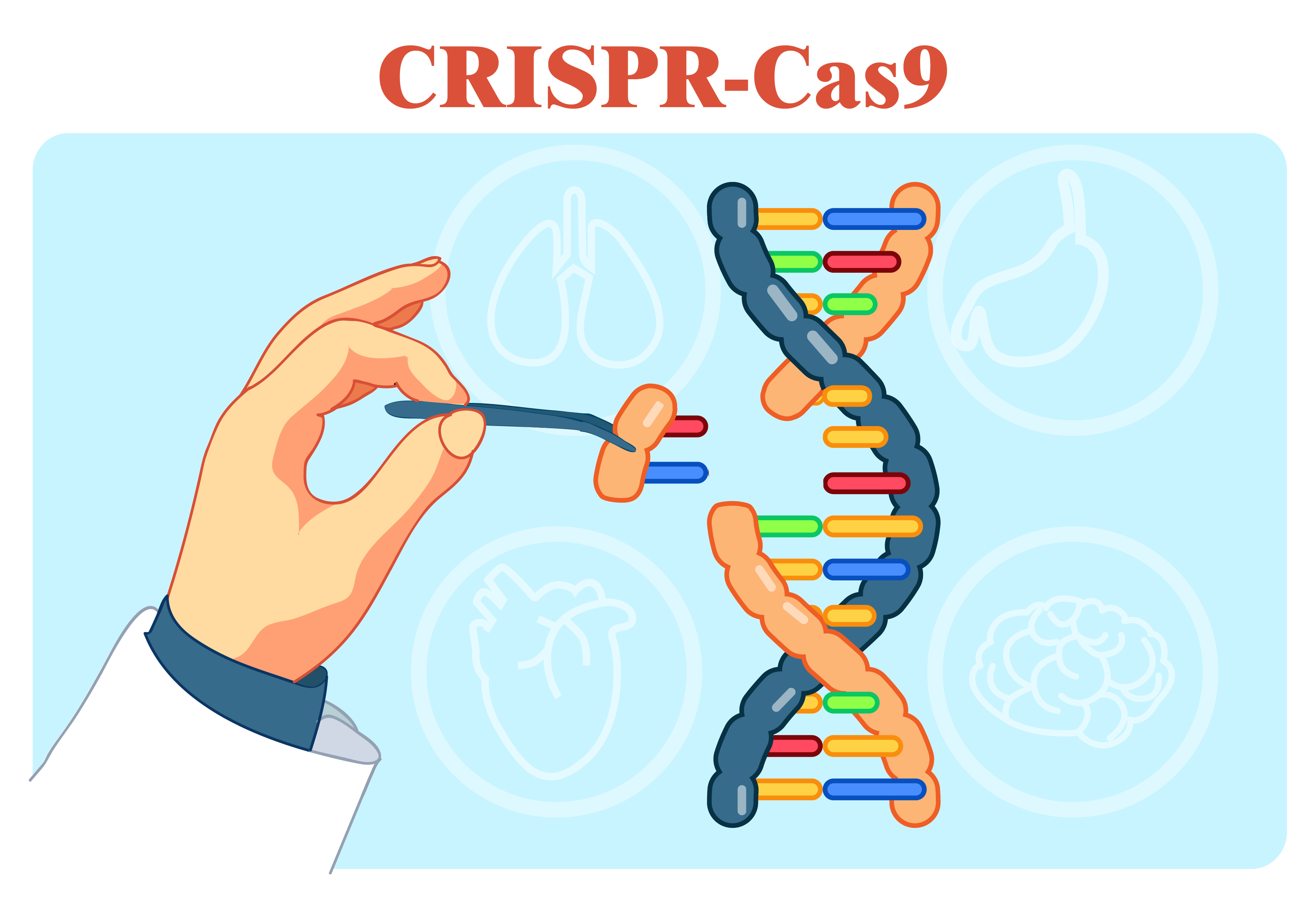 De-arming CRISPR/Cas9 to increase knock-in efficiency