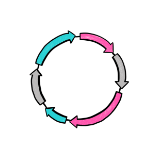 IVT vector design & cloning