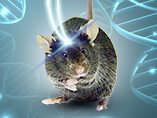 Optogenetics: light-control of genes, pathways, and cells