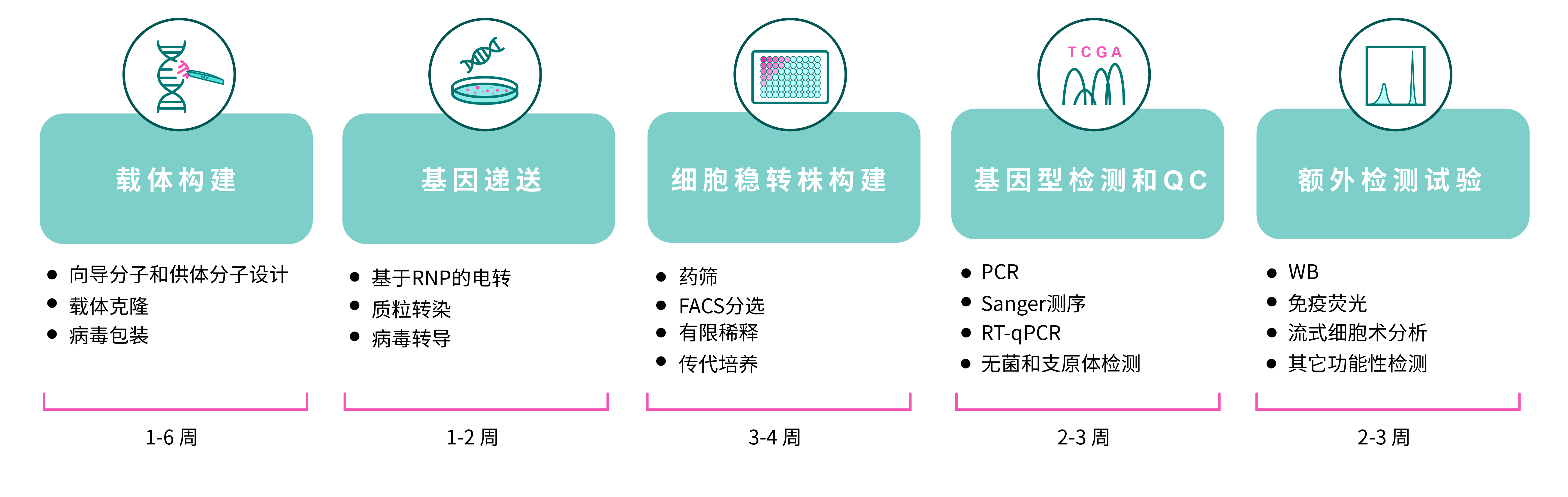 workflow of stable cell line generation 