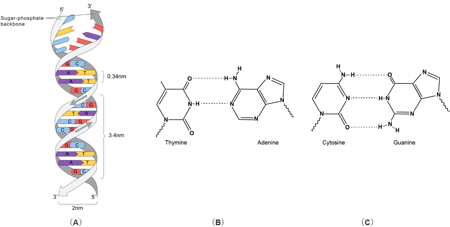 Figure1