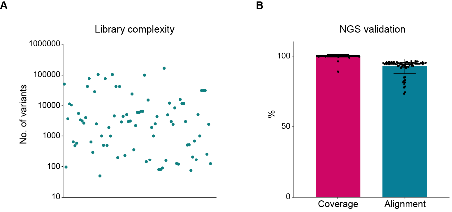 mutationComplexity, coverage, and alignment rate of chip-based oligo libraries constructed by VectorBuilder. 