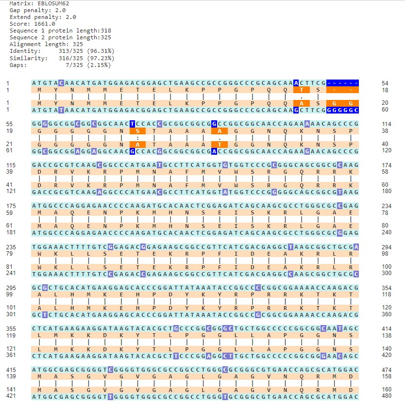 Alignment between translated amino acid sequences.